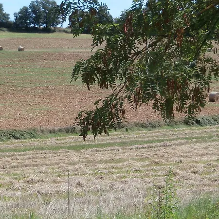 Domaine La Poujade * Caylus